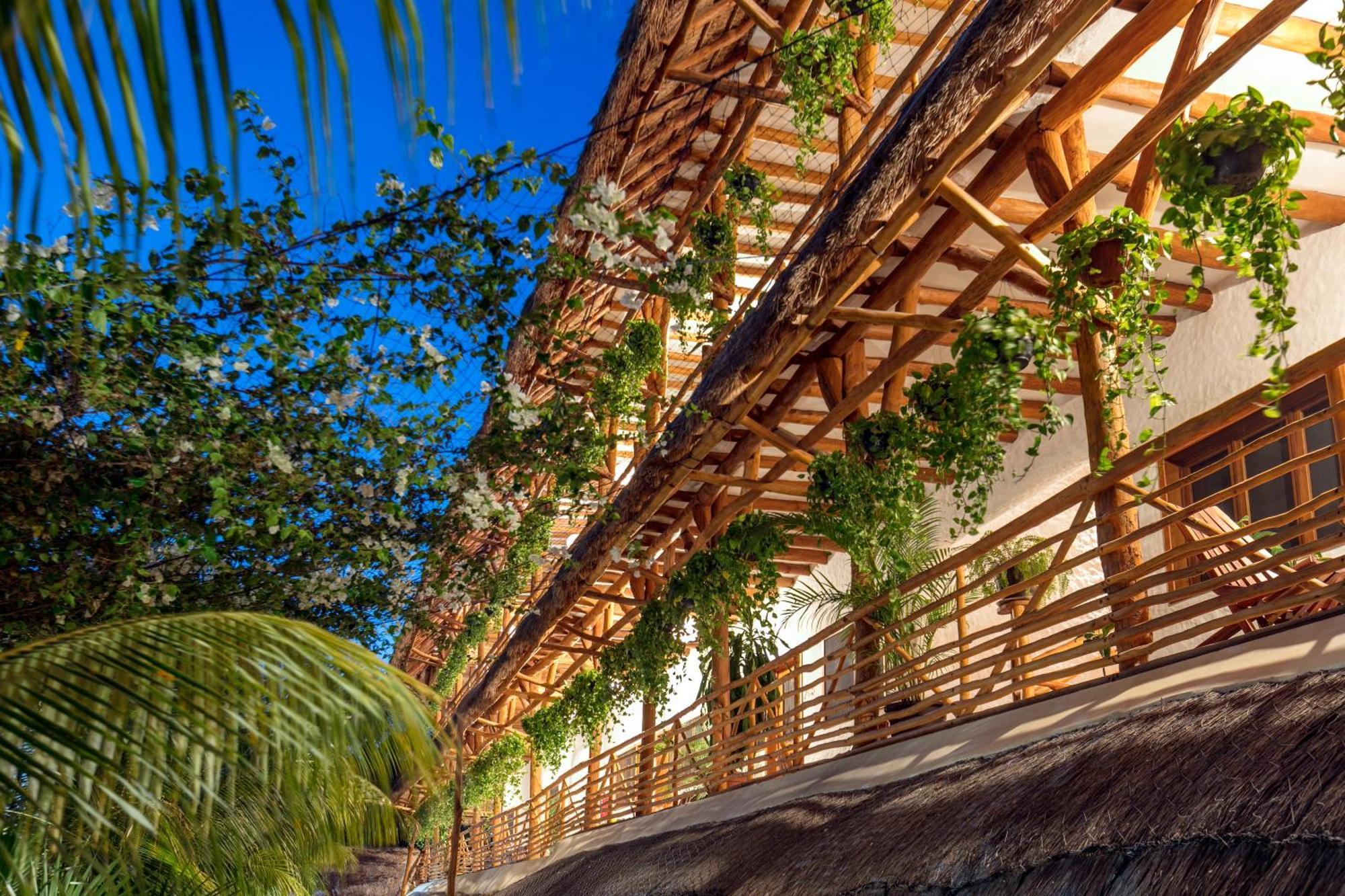 La Palma Holbox Hotel Exterior photo